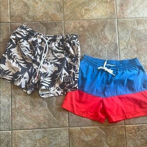 Chubbies swim trunks